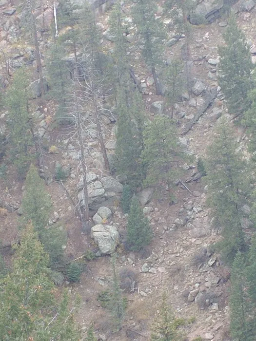 Canyon Enterprises Inc Picture 10