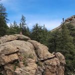 Springer Gulch