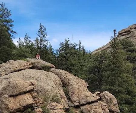 Springer Gulch