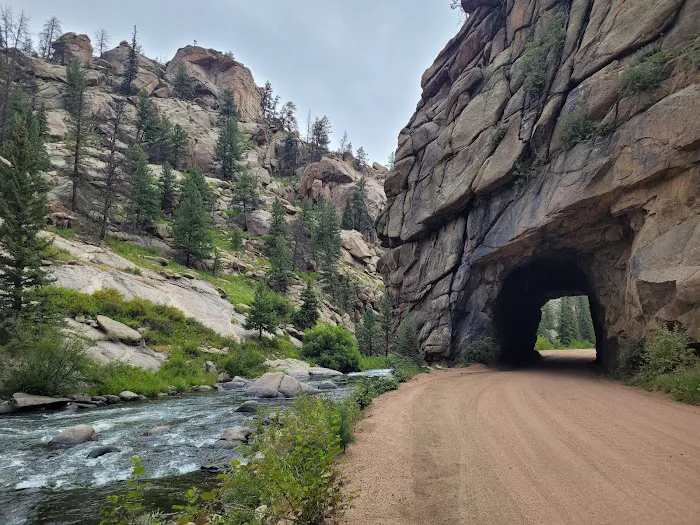 Springer Gulch Picture 4