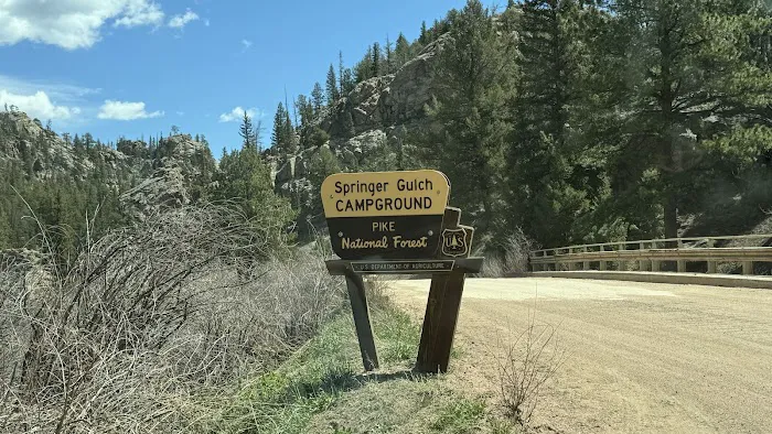 Springer Gulch Picture 6