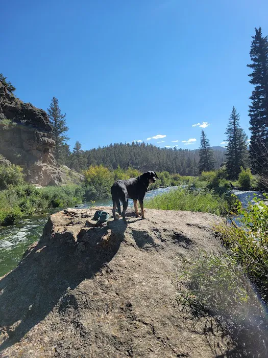 Springer Gulch Picture 7