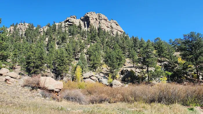 Springer Gulch Picture 8