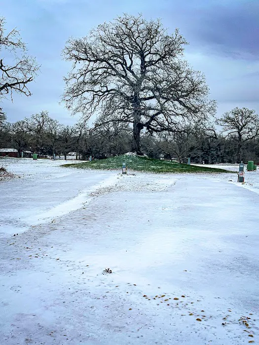 Arrow RV Park Picture 1