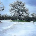 Arrow RV Park