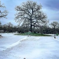 Arrow RV Park ico