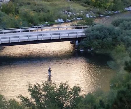 Cove Campground