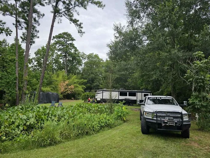 Patriot RV Park - Luling Picture 10
