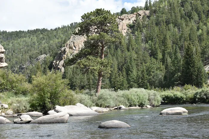 Spillway Campground, Eleven Mile Canyon Picture 4