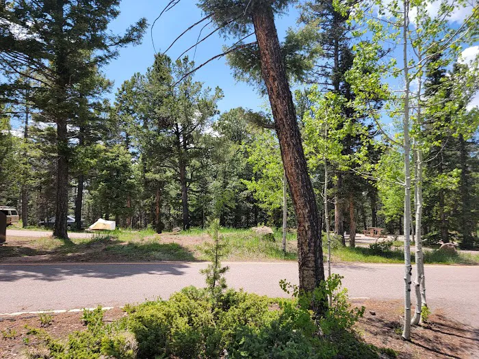 Grouse Mountain Campground Picture 2
