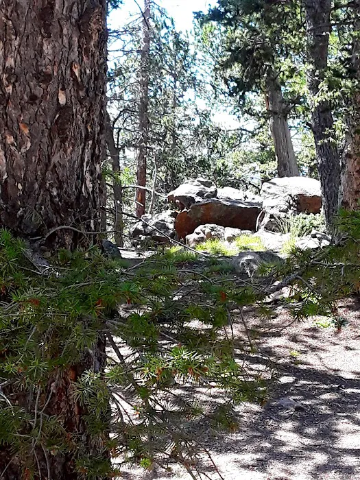 Grouse Mountain Campground Picture 7