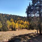 Prospector Ridge Campground