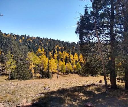 Prospector Ridge Campground