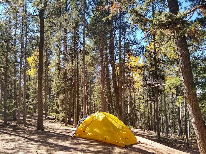 Prospector Ridge Campground Picture 4