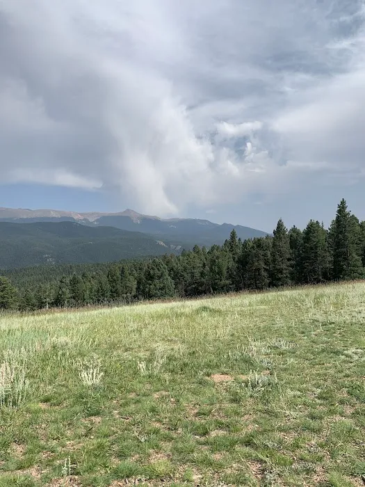 Prospector Ridge Campground Picture 6