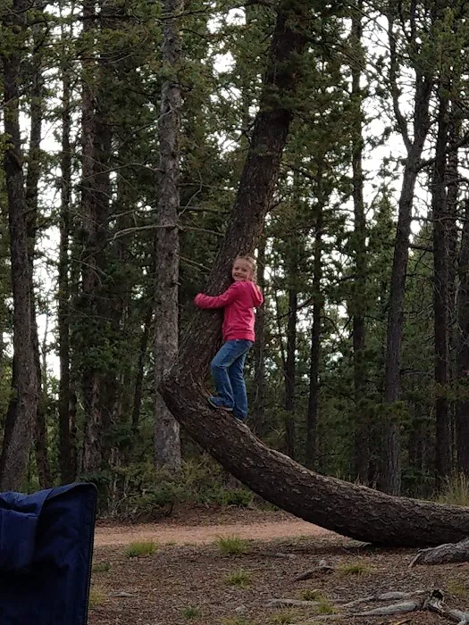 Prospector Ridge Campground Picture 7