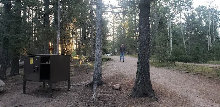 Prospector Ridge Campground Picture 5