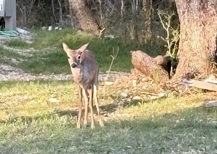 Almost Heaven RV Resort Picture 7