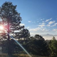 Pisgah Point Campground ico