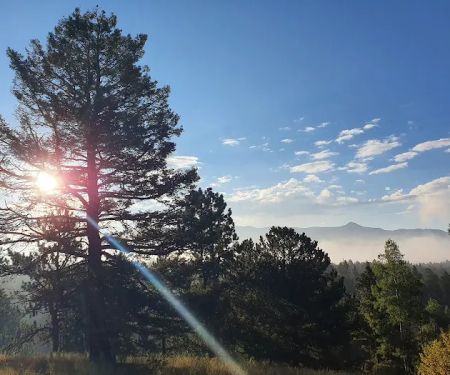Pisgah Point Campground