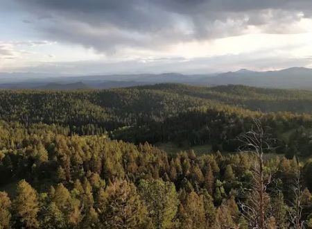 Revenuer's Ridge Campground