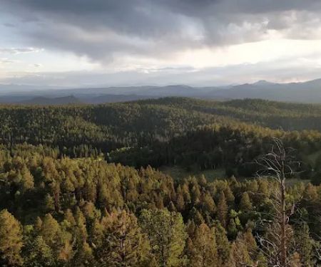 Revenuer's Ridge Campground