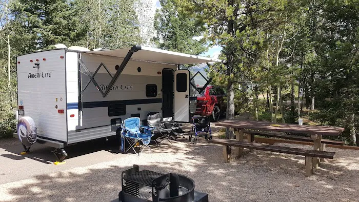 Revenuer's Ridge Campground Picture 3