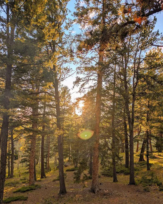 Revenuer's Ridge Campground Picture 4