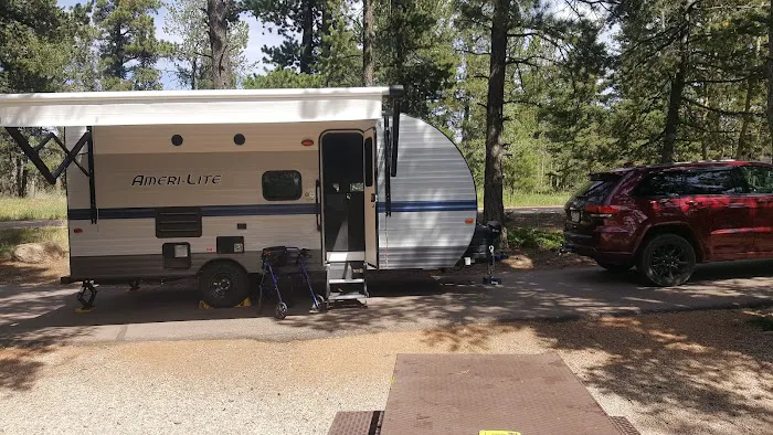 Revenuer's Ridge Campground Picture 5