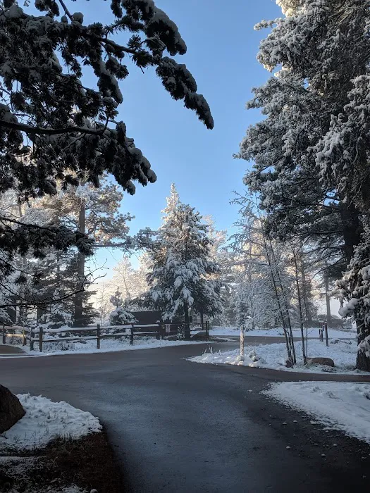 Revenuer's Ridge Campground Picture 8