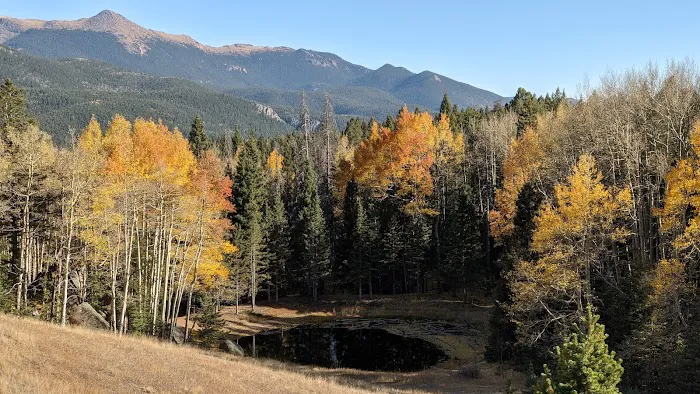 Peak View Campground Picture 1