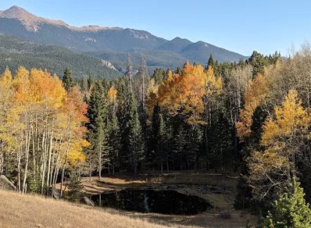 Peak View Campground