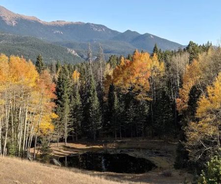 Peak View Campground