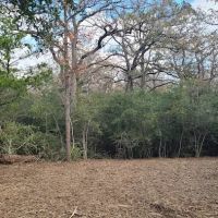 Enchanted Oaks Campground ico