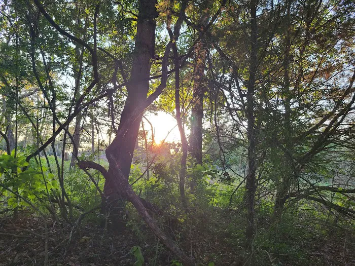 Enchanted Oaks Campground Picture 4