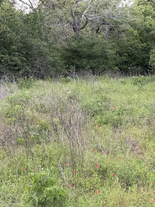 Come and Camp It! @ Cain Ranch Campgrounds Picture 9