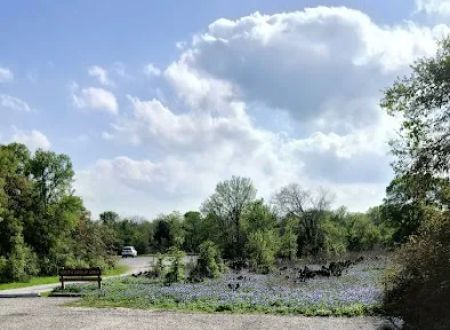 Youth Group Campsite