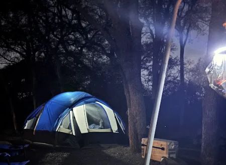 Big Oak Campsite 26 at McKinney Falls State Park