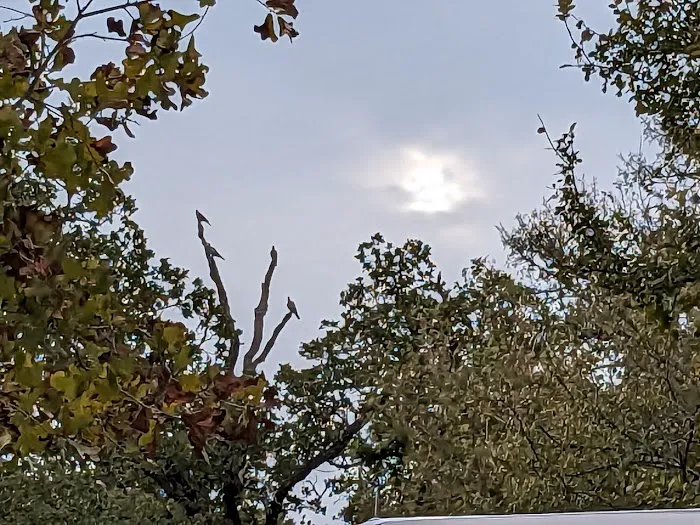 Bluebonnet Campground Picture 4