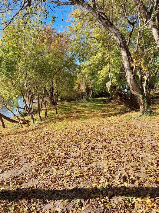 Texas Music River Ranch Picture 8