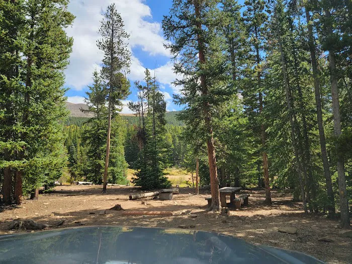 Selkirk Campground Picture 3