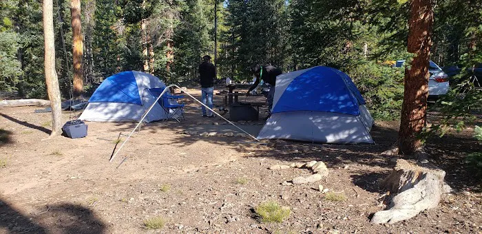 Selkirk Campground Picture 10