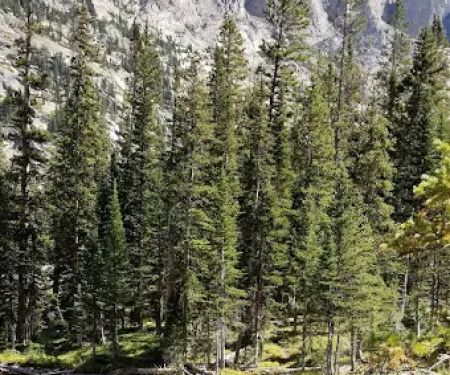 Crater Lake Campground
