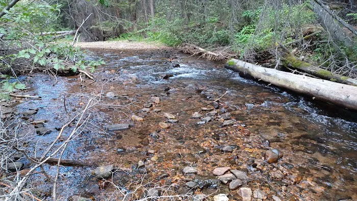 Horseshoe Campground Picture 1
