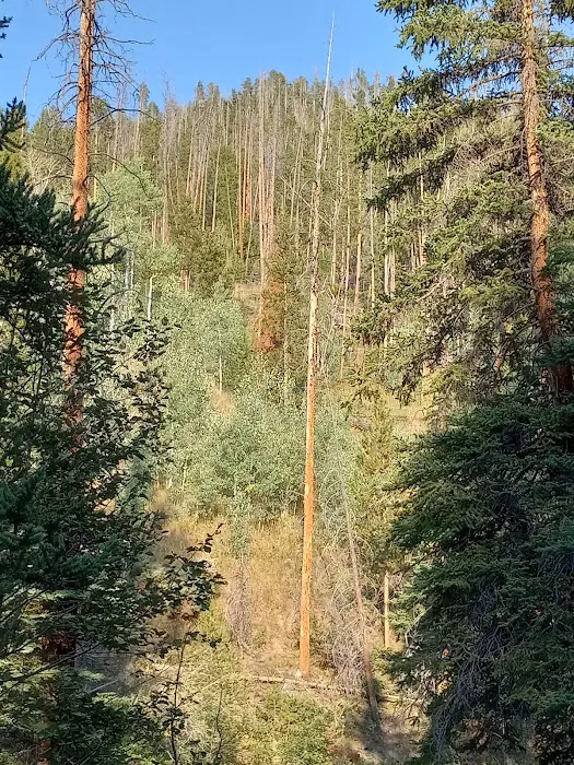 Horseshoe Campground Picture 4