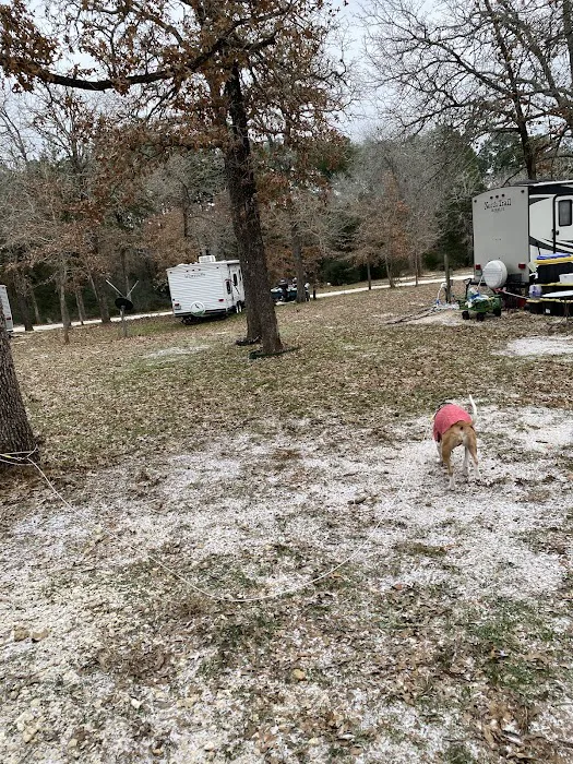 Lakeside camping and RV Picture 4