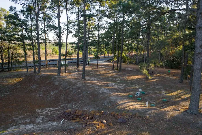 The Pines at Bastrop RV Park Picture 6