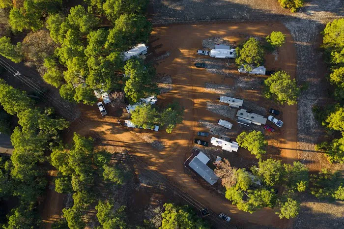 The Pines at Bastrop RV Park Picture 10