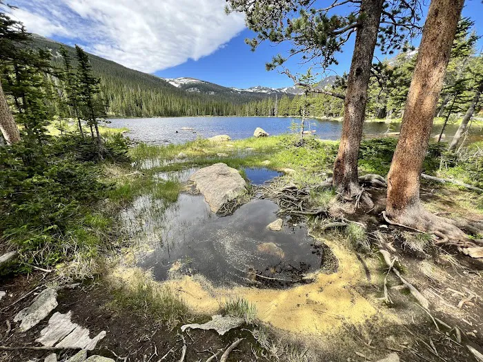 Pear Lake Picture 2