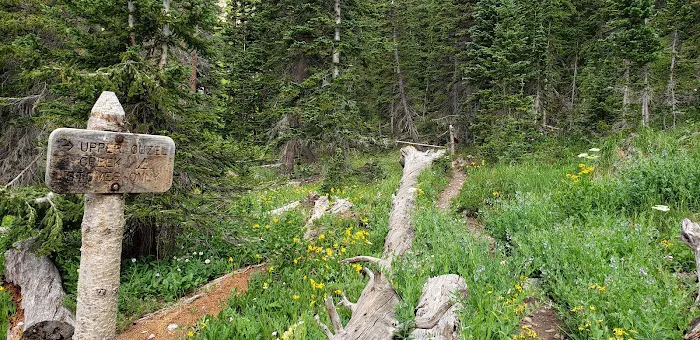 Upper Ouzel Creek Picture 7
